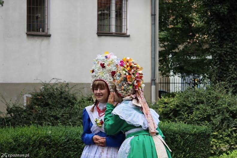 fot. Jędrzej Gerwel