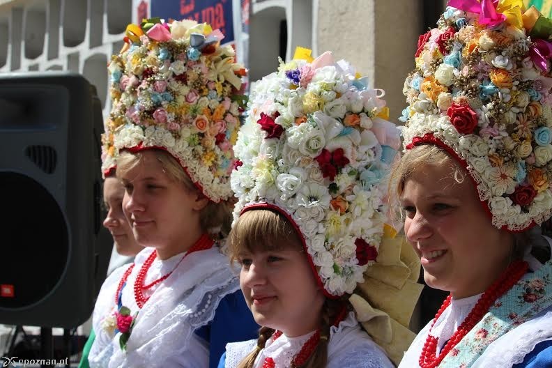 fot. Jędrzej Gerwel