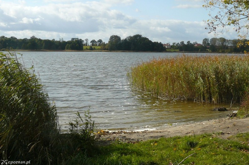 Jezioro Niepruszewskie | fot. MOs810 / Wikipedia