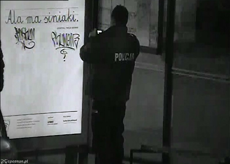 fot. straż miejska