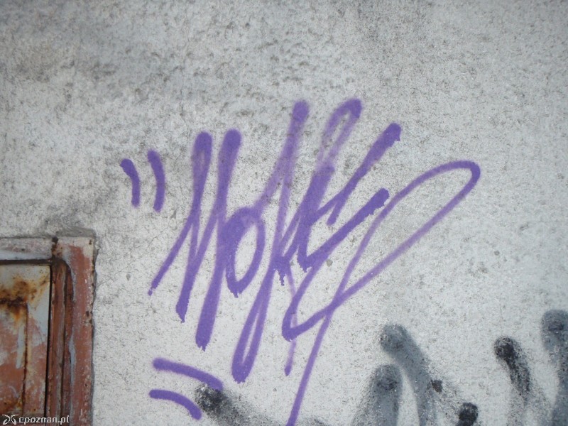 fot. straż miejska