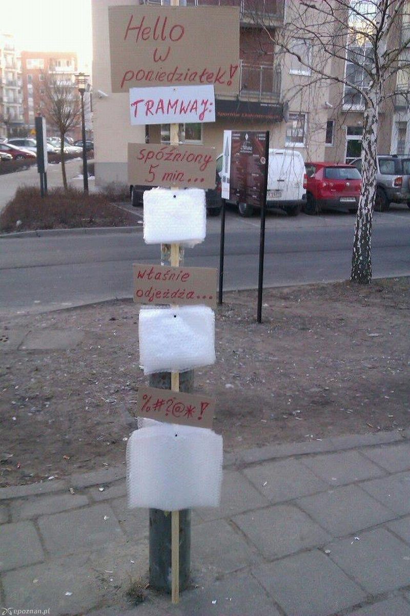 fot. Hello Polanka