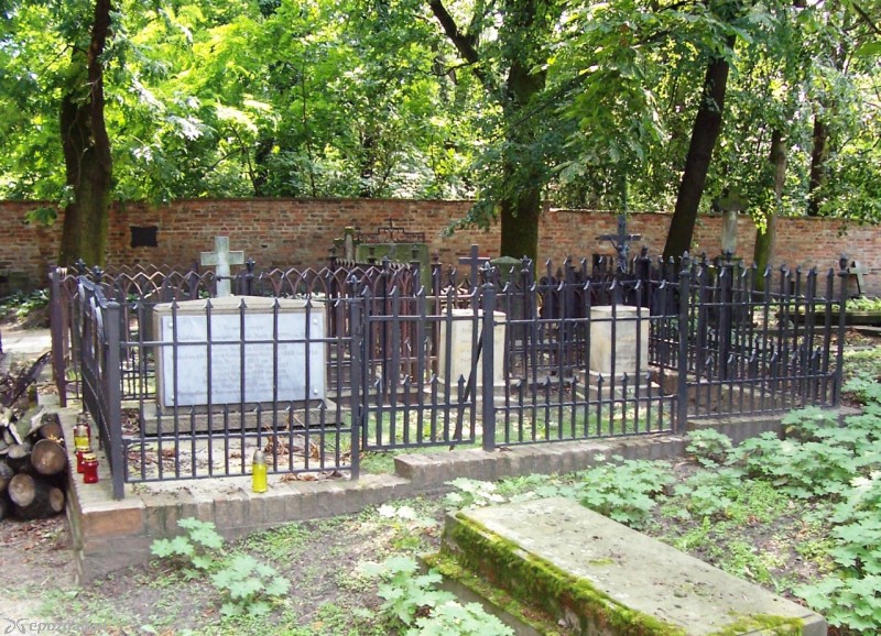 Jedna z kwater na Cmentarzu Zasłużonych Wielkopolan | fot. wikimedia