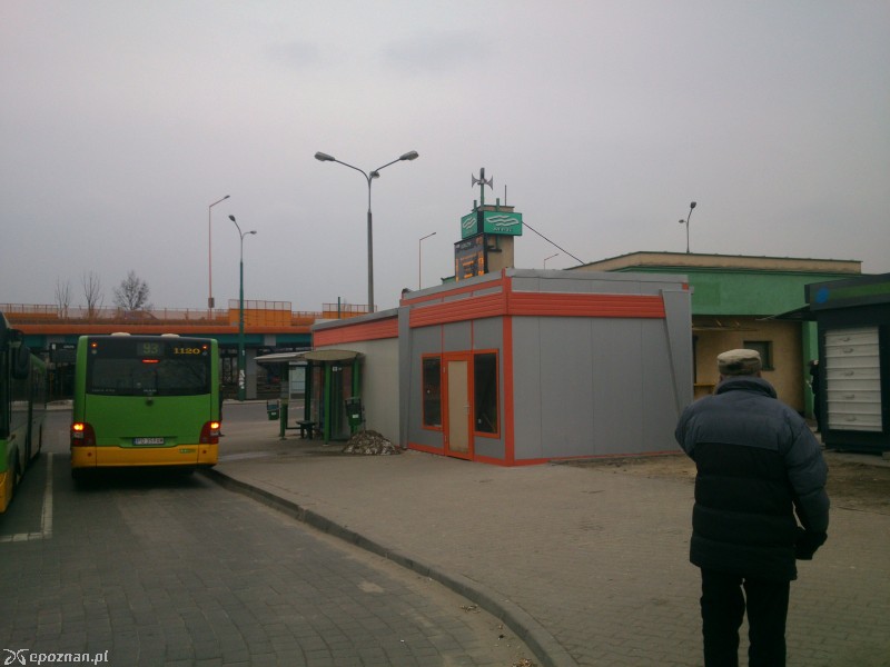 fot. Piotr \"Tiggy\" Pasała