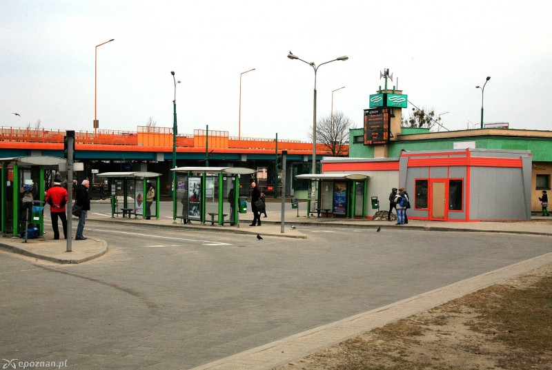 fot. Jacek Kapczyński
