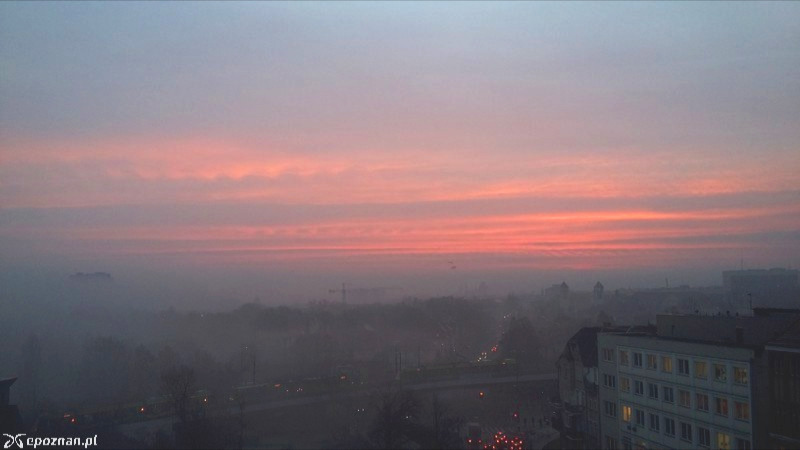 Kolejka tramwajów | fot. Mariusz