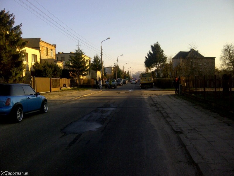 fot. piniapolo
