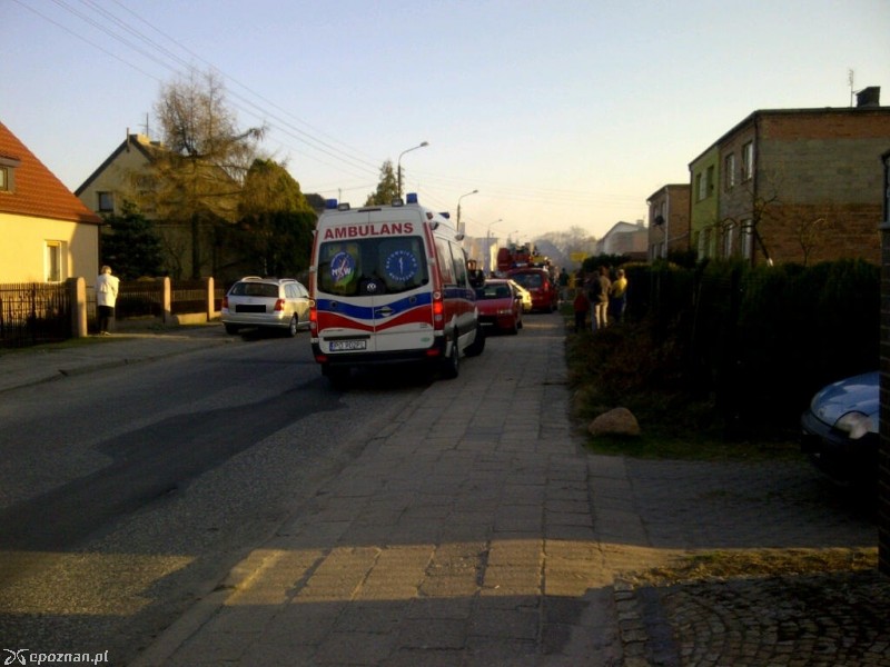 fot. piniapolo