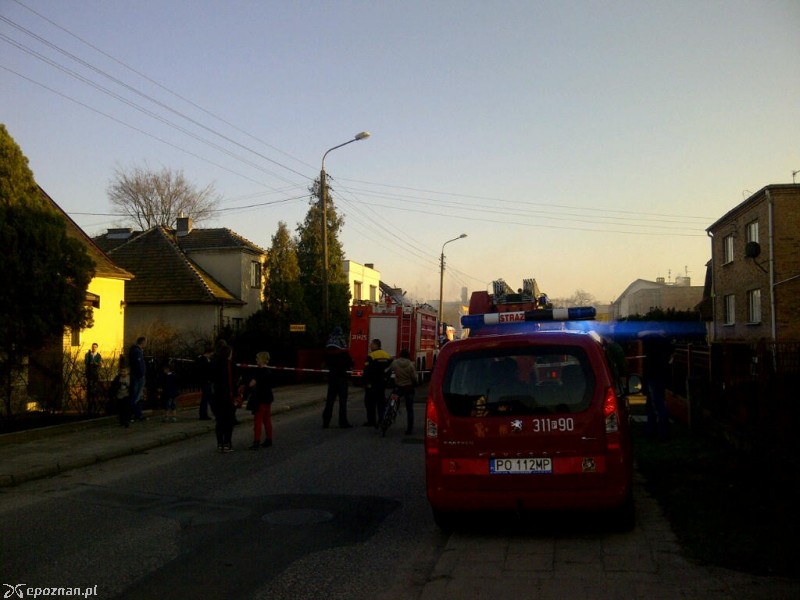 fot. piniapolo
