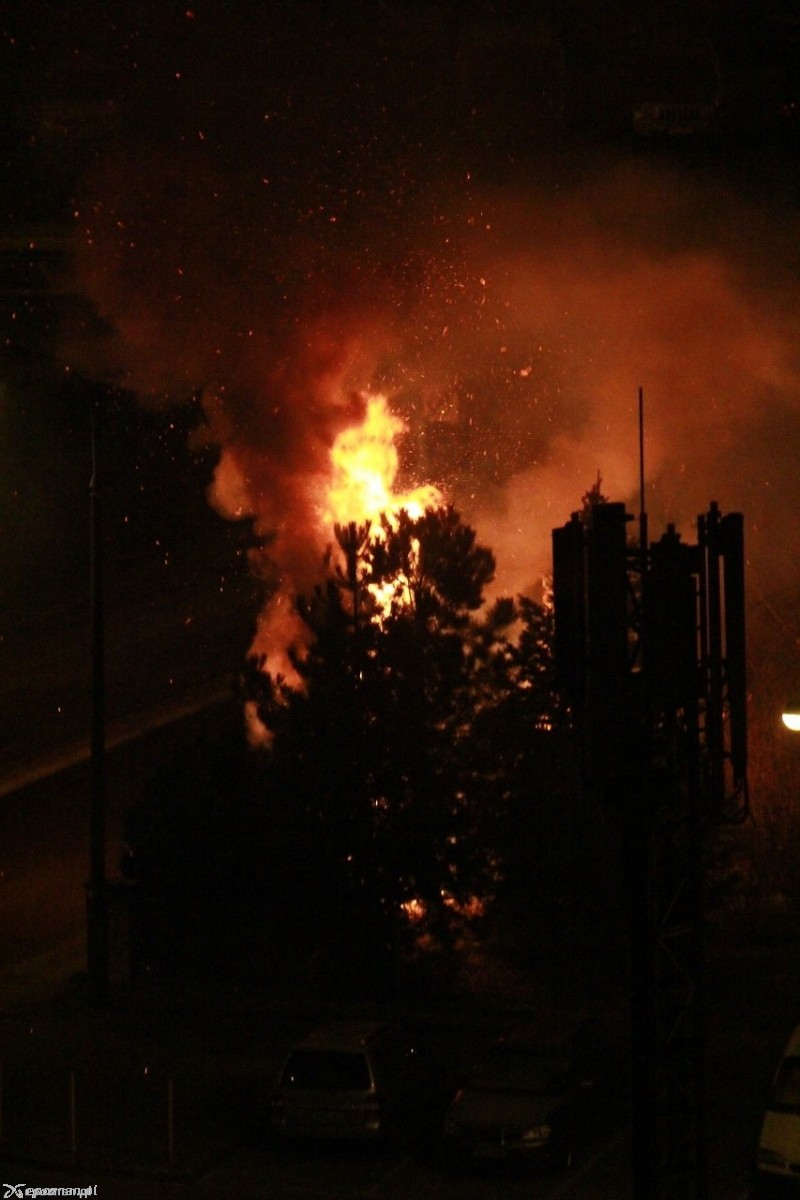 Jeden z pożarów w Poznaniu w sylwestrową noc &#8211; palił się żywopłot na os. B. Chrobrego | fot. Czytelnik