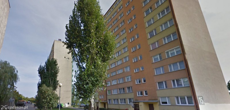 Do zdarzenia doszło na osiedlu Piastowskim w Gnieźnie | fot. Google Maps
