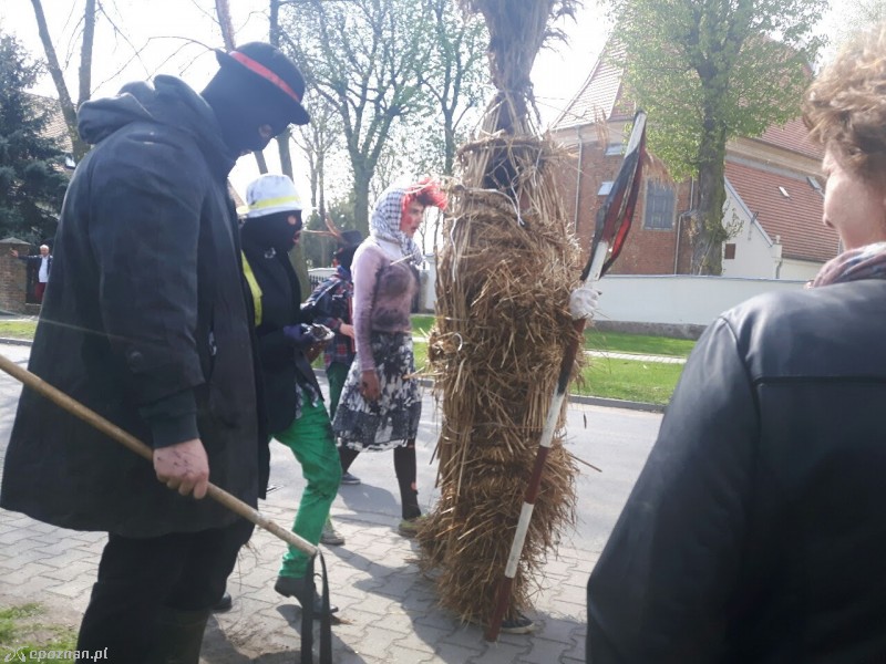 fot. Niepruszewo &#8222;Siwki&#8221;