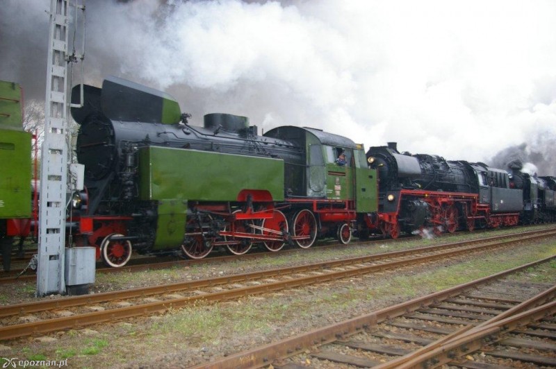 fot. Andrzej Trzmiel