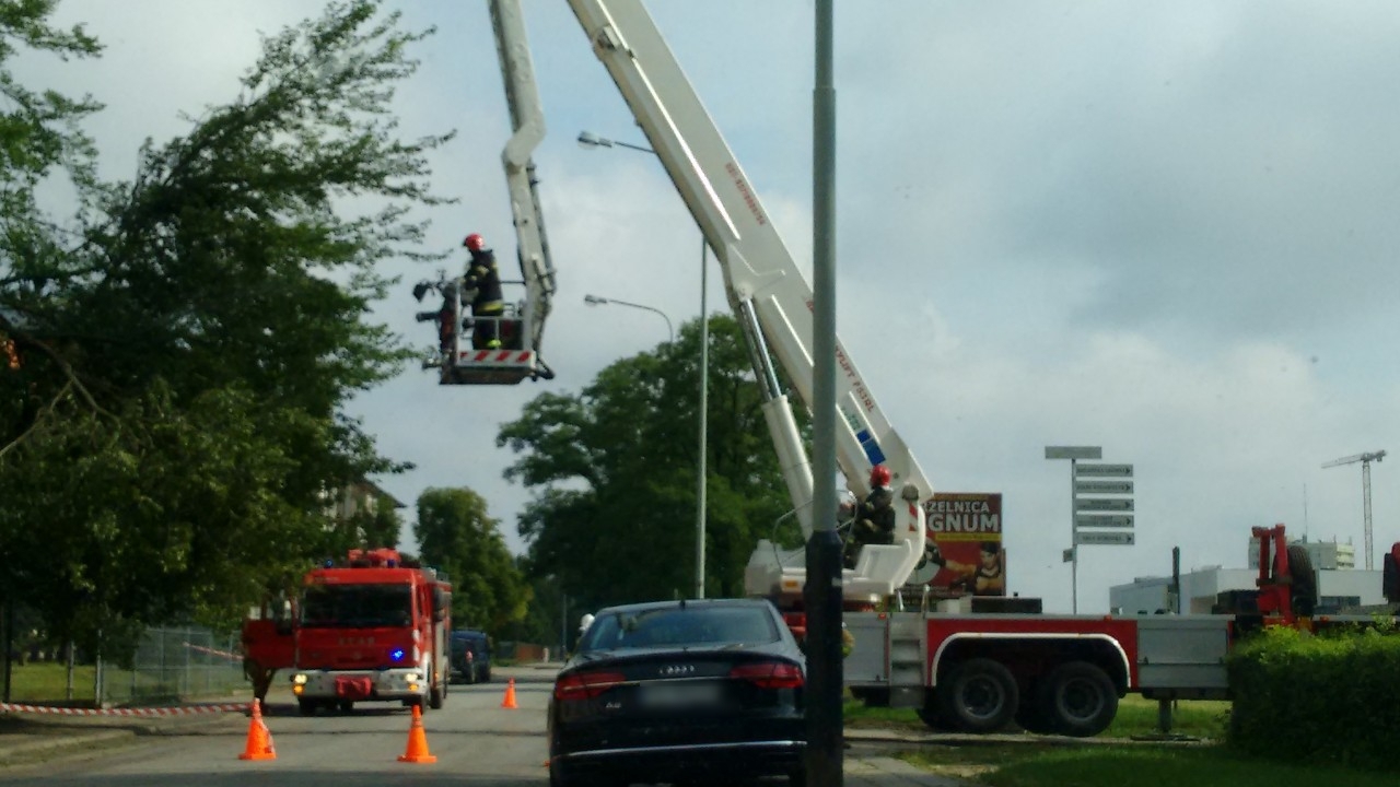 Złamane drzewo ul. Dojazd | fot. Krzysztof Baran