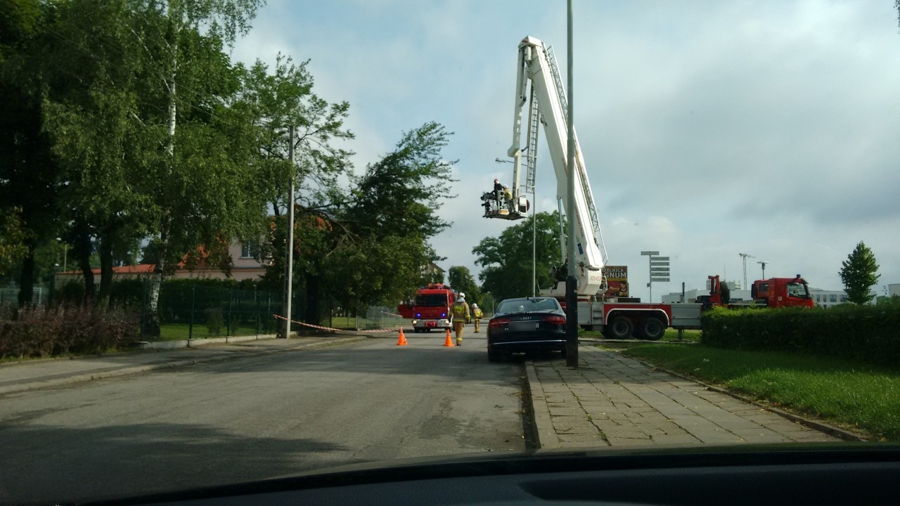 Złamane drzewo ul. Dojazd | fot. Krzysztof Baran