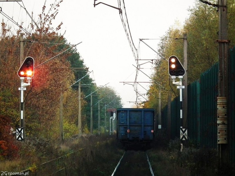 Linia kolejowa nr 395 | fot. MOs810/wikimedia/CC BY-SA 4.0