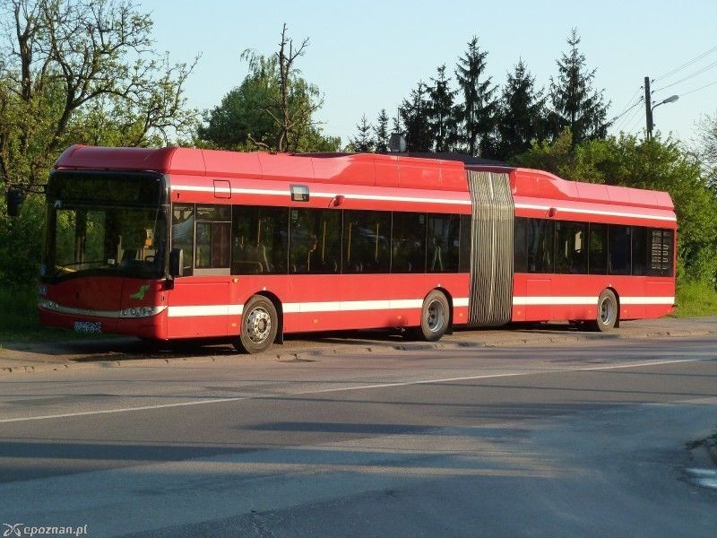 fot. Mateusz Wawrowski