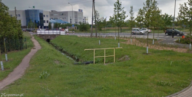Wierzbak w rejonie ul. Strzeszyńskiej | fot. Google Maps