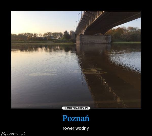 W internecie pojawiły się nawet memy z zalaną Wartostradą | fot. demotywatory.pl