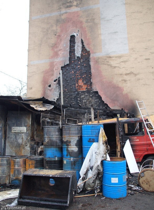 fot. Włodzimierz Hoppel