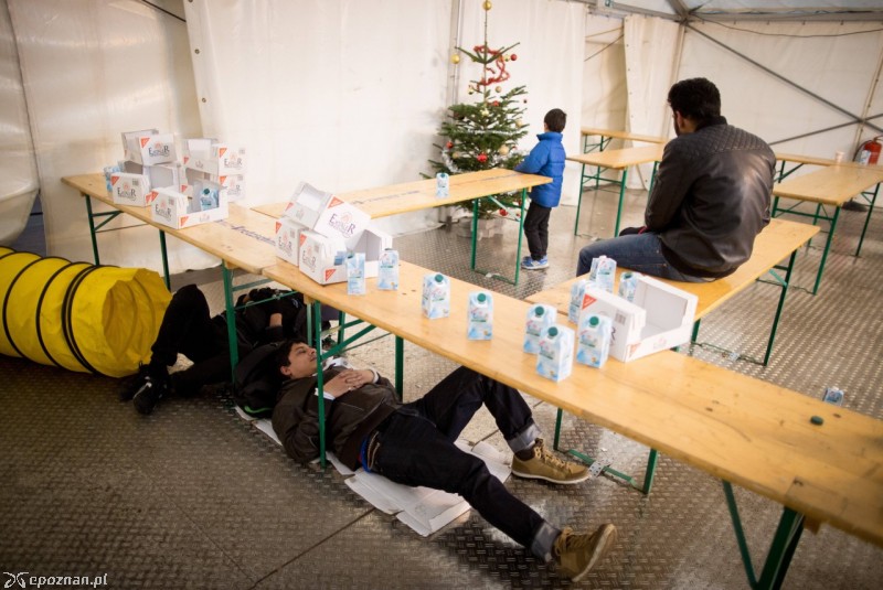 Uchodźcy w berlińskim urzędzie zdrowia i spraw społecznych  | fot. Kay Nietfeld/PAP/DPA