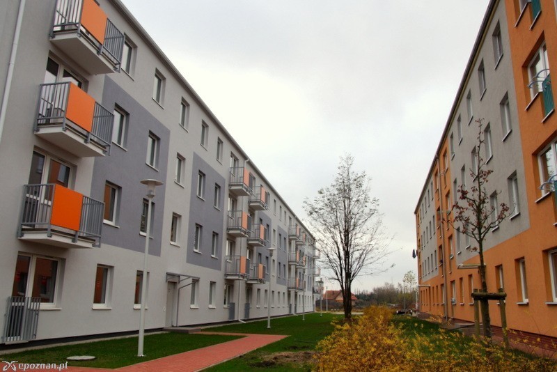 Mieszkania komunalne przy ul. Bolka | fot. Włodzimierz  Hoppel