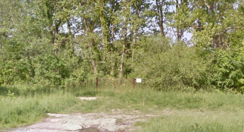 Wejście na teren od strony Drogi Dębińskiej | fot. Google Maps