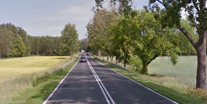 Do wypadku doszło na prostym odcinku drogi | fot. Google Maps