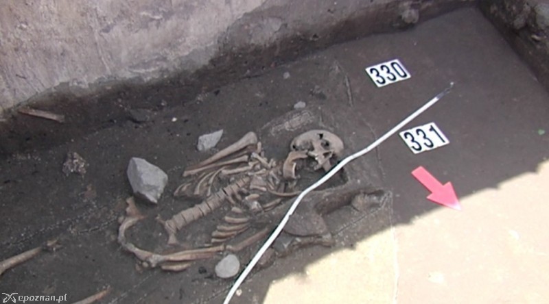 Groby odkryte przez archeologów na Śródce