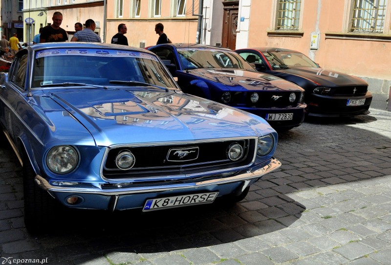 fot. Mustang Polska
