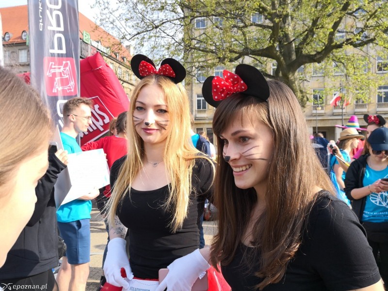 fot. Maciej Kopiński