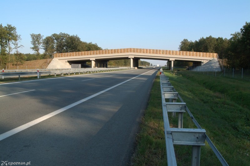 fot.  Autostrada Wielkopolska