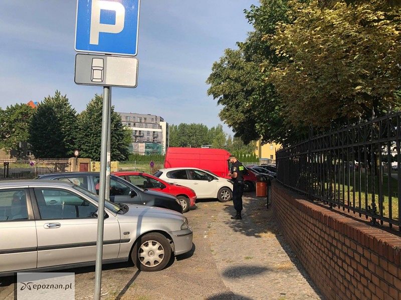 fot. Straż Miejska