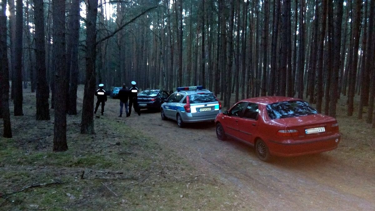 Rozbity samochód w lesie. Wewnątrz znaleziono zwłoki kobiety