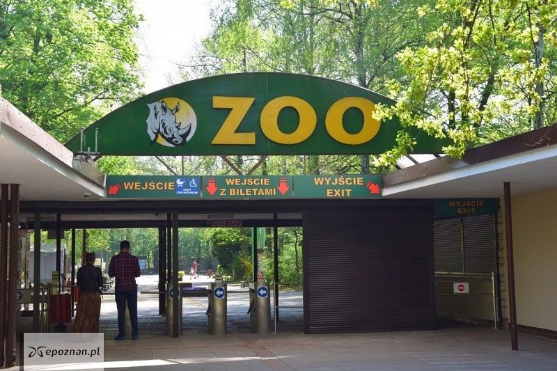 fot. Nowe Zoo, archiwum