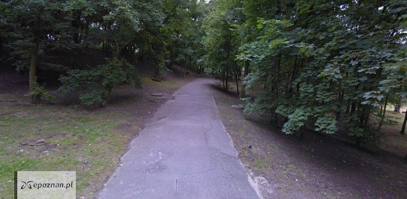 Do zdarzenia doszło na tej parkowej alejce | fot. Google Street View