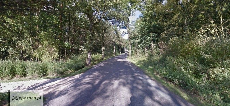 Do wypadku doszło na tej drodze | fot. Google Street View