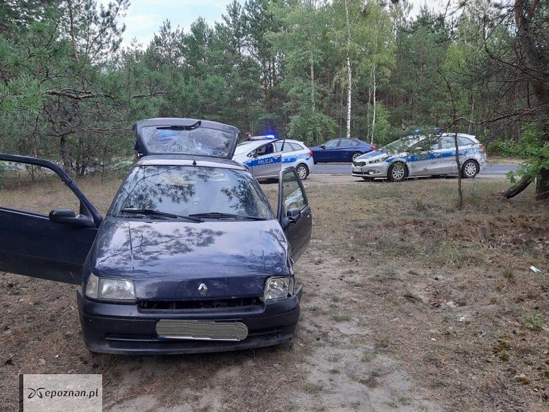 fot. Policja