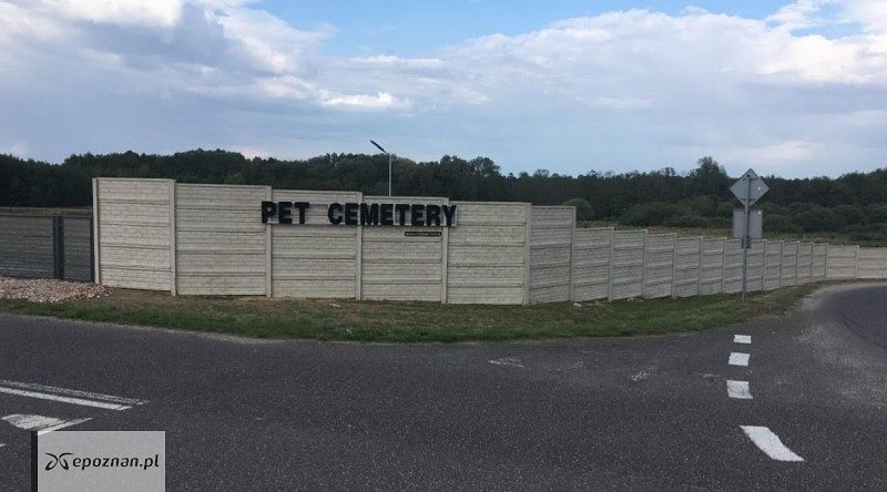 fot. Pet Cemetery