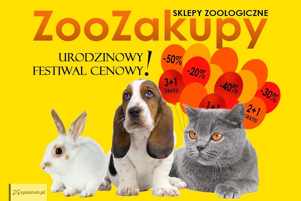 miauczeć. randkiSkorpion randki z kobietą Koziorożec