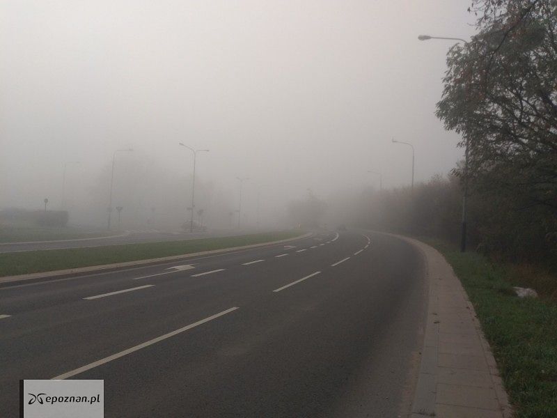 Mgła w Poznaniu | fot. Anna