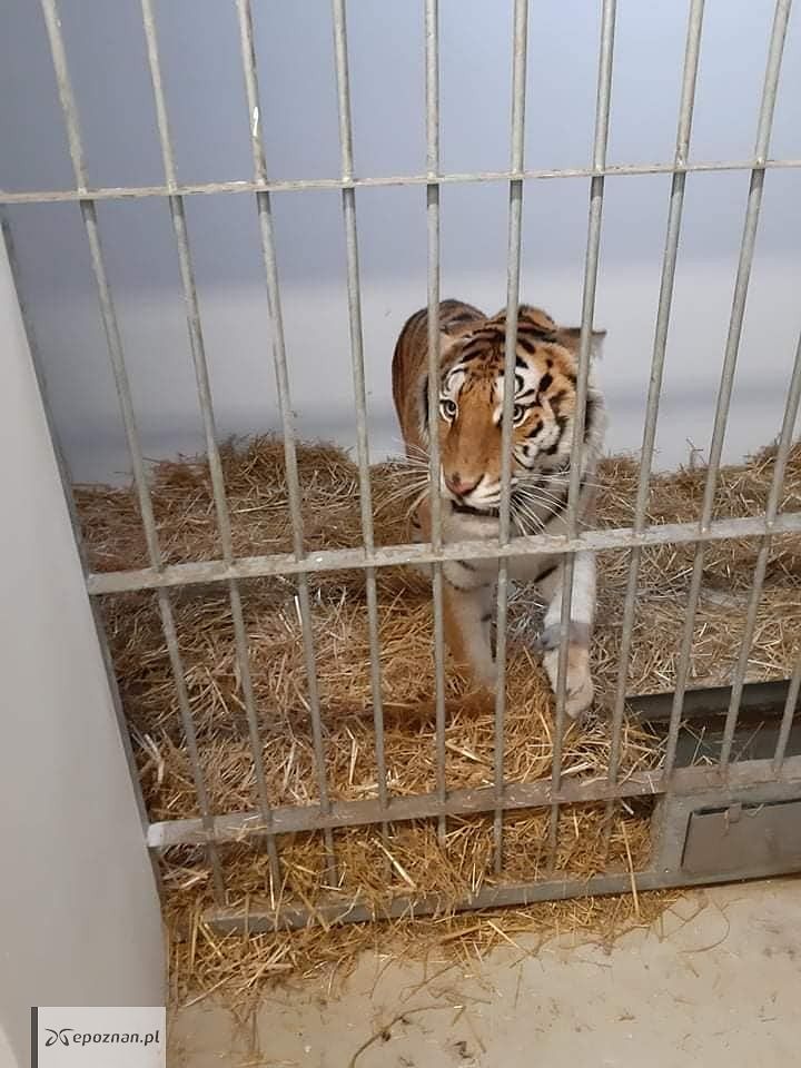 fot. ZOO Poznań