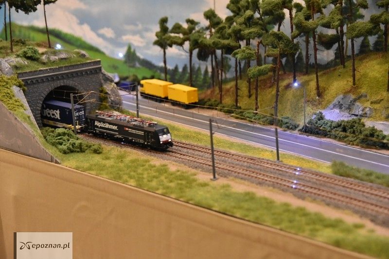 fot. Przemysław Łukaszyk