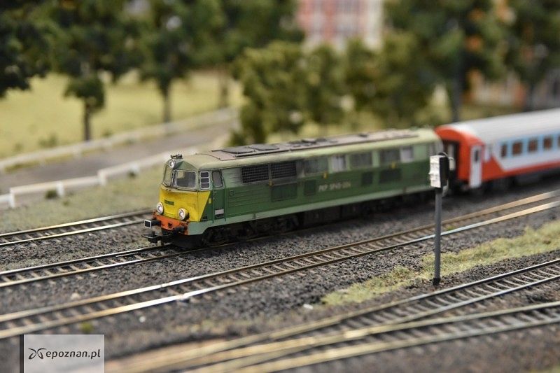 fot. Przemysław Łukaszyk