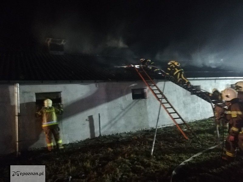 fot. KSRG OSP Czempiń