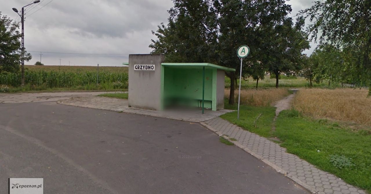 Do kradzieży doszło m.in. w Grzybnie | fot. Google Street View