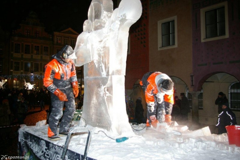 fot. Andrzej Trzmiel