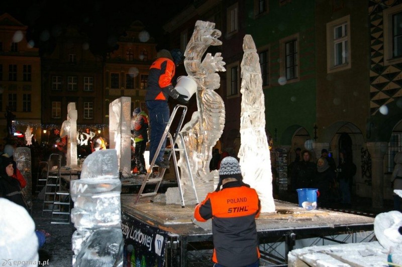 fot. Andrzej Trzmiel