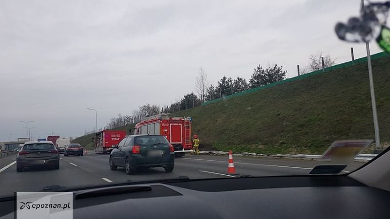 fot. Czytelniczka