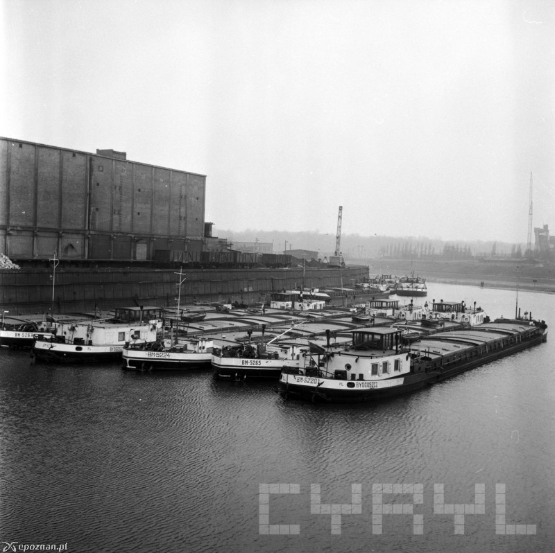 Port rzeczny | fot. Stanisław Wiktor / CYRYL